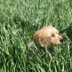 Meet your Posher, Alyx